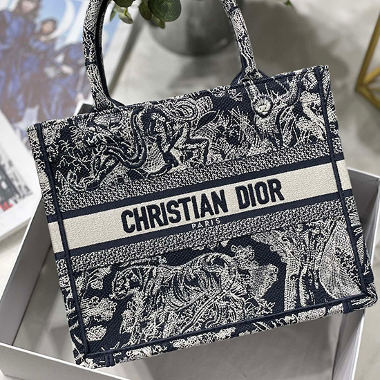 Small Dior Book Tote MS12864