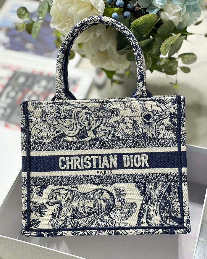 Small Dior Book Tote MS12866