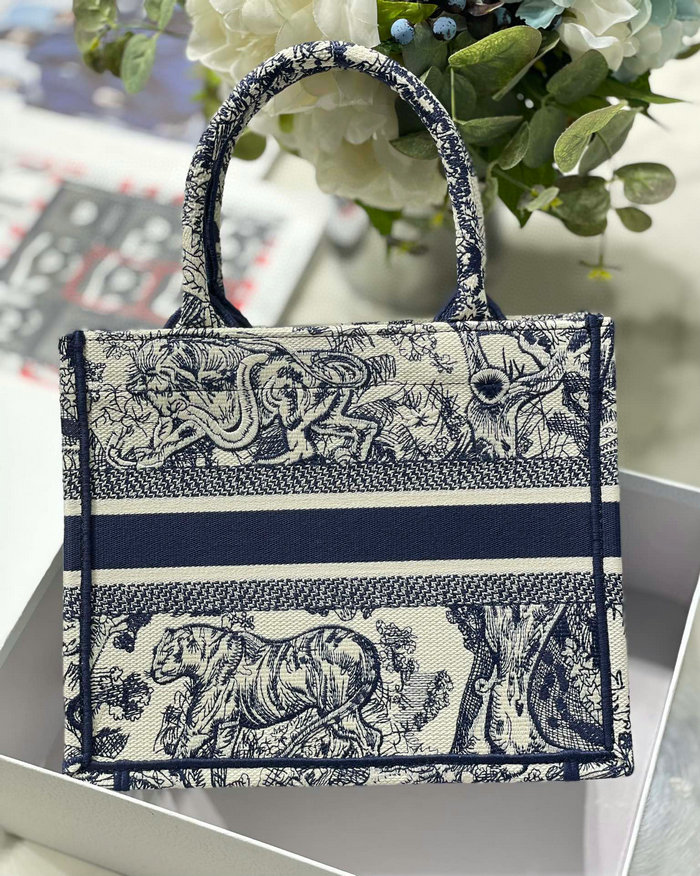 Small Dior Book Tote MS12866