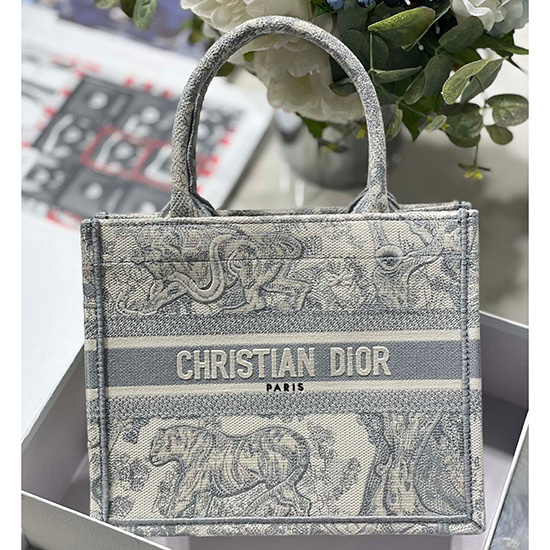 Small Dior Book Tote MS12867