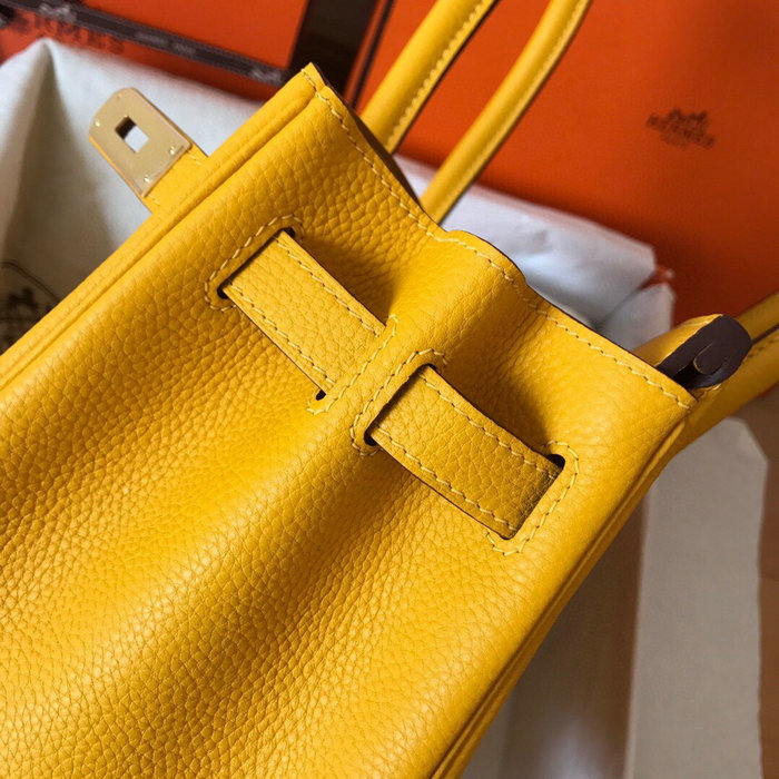 Hermes Togo Leather Birkin Bag HB303502