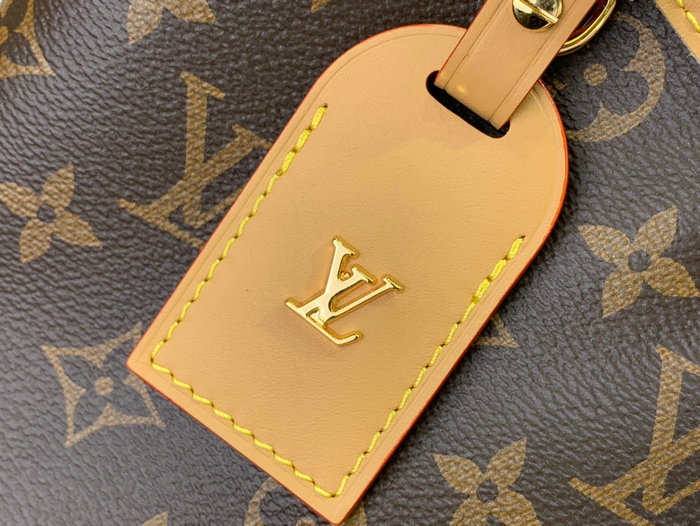 Louis Vuitton Monogram Canvas Carryall MM M46197