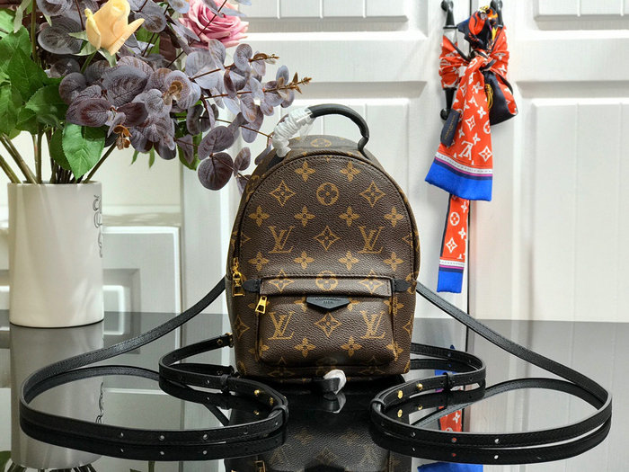 Louis Vuitton PALM SPRINGS MINI M41562