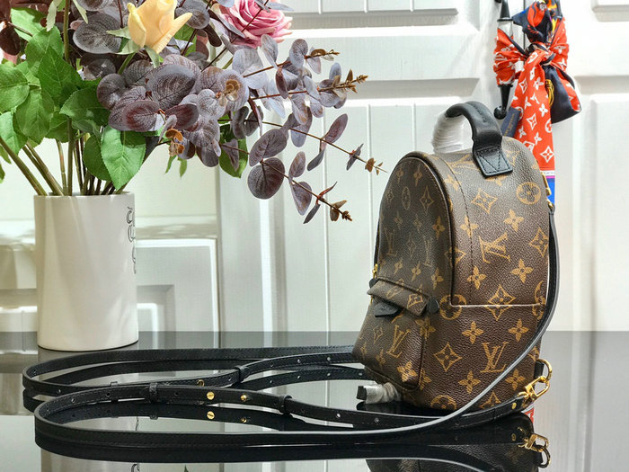 Louis Vuitton PALM SPRINGS MINI M41562