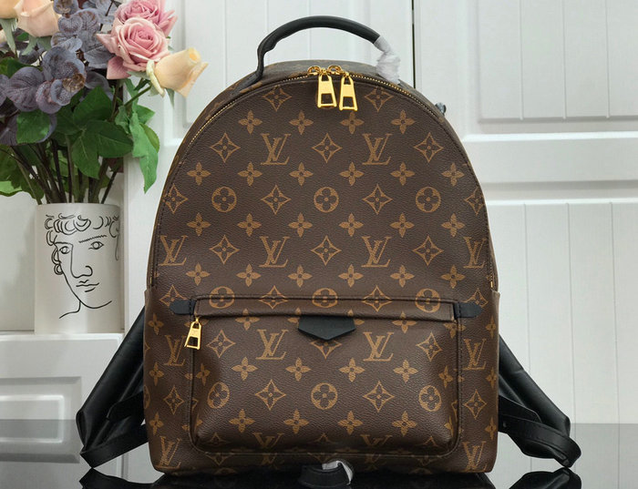 Louis Vuitton PALM SPRINGS MM M44874