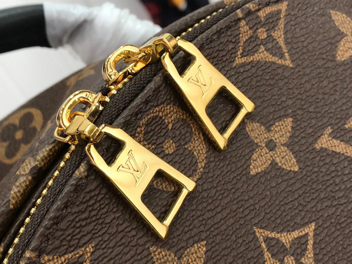 Louis Vuitton PALM SPRINGS MM M44874