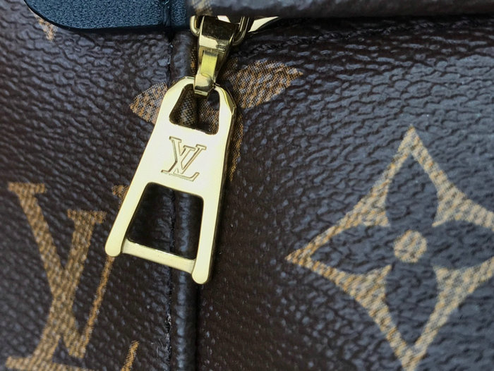 Louis Vuitton PALM SPRINGS MM M44874