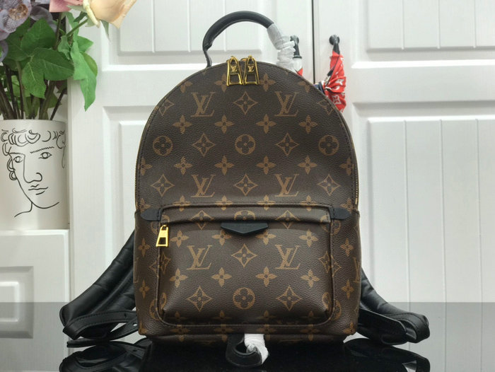 Louis Vuitton PALM SPRINGS PM M44871