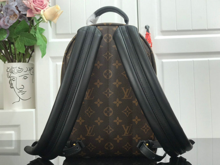 Louis Vuitton PALM SPRINGS PM M44871