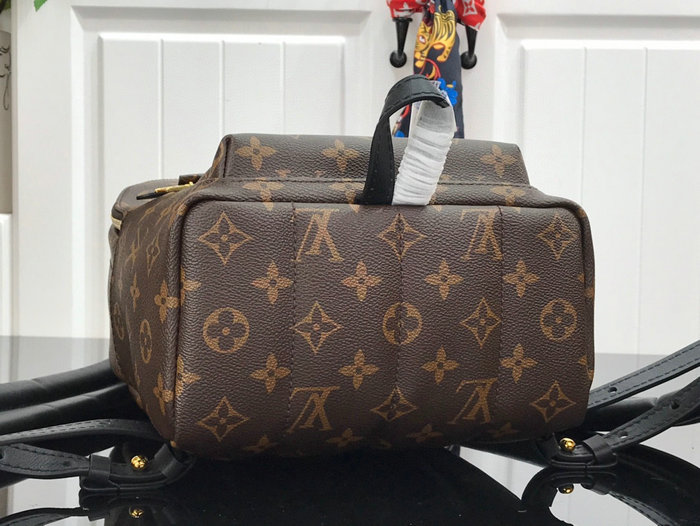 Louis Vuitton PALM SPRINGS PM M44871