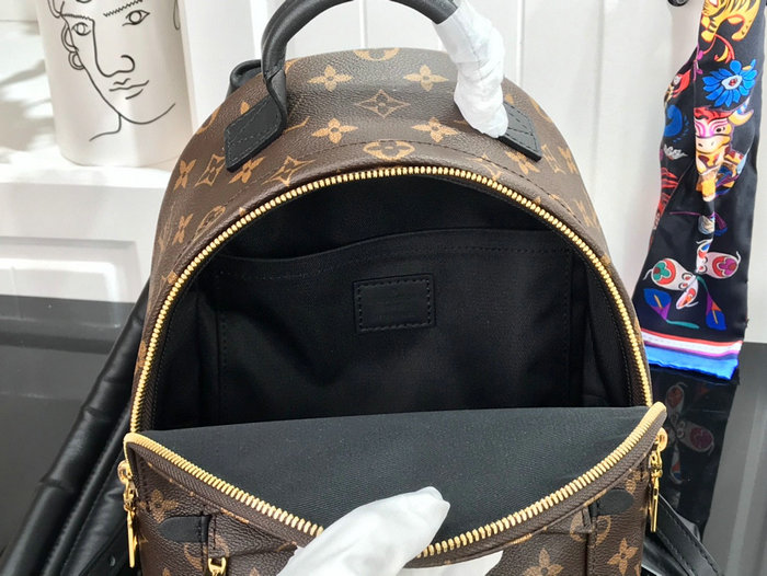 Louis Vuitton PALM SPRINGS PM M44871