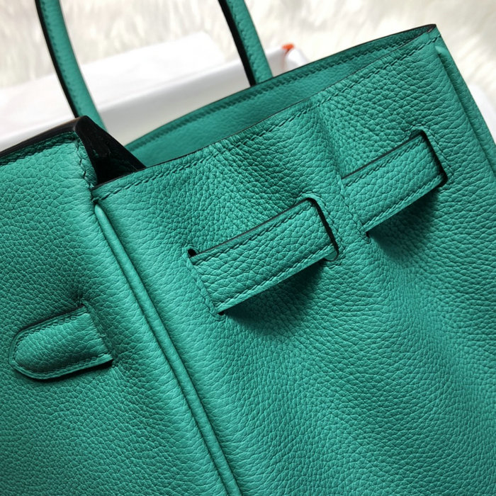 Hermes Togo Leather Birkin Bag Rowena Green HB253001