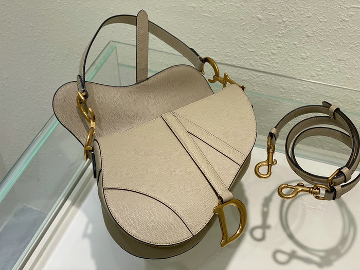 Dior Saddle Bag with Strap Powder Beige M0455