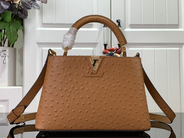 Louis Vuitton Embossed Ostrich Capucines Brown N93419