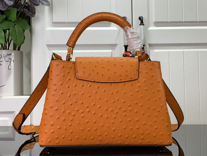 Louis Vuitton Embossed Ostrich Capucines Orange N93419