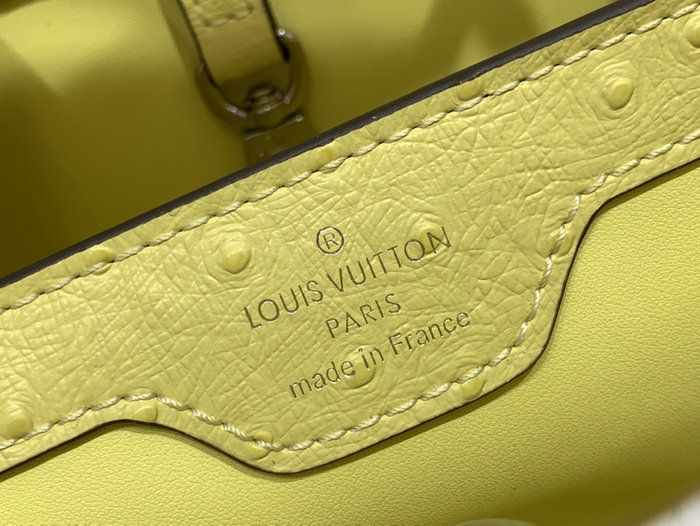 Louis Vuitton Embossed Ostrich Capucines Yellow N93419