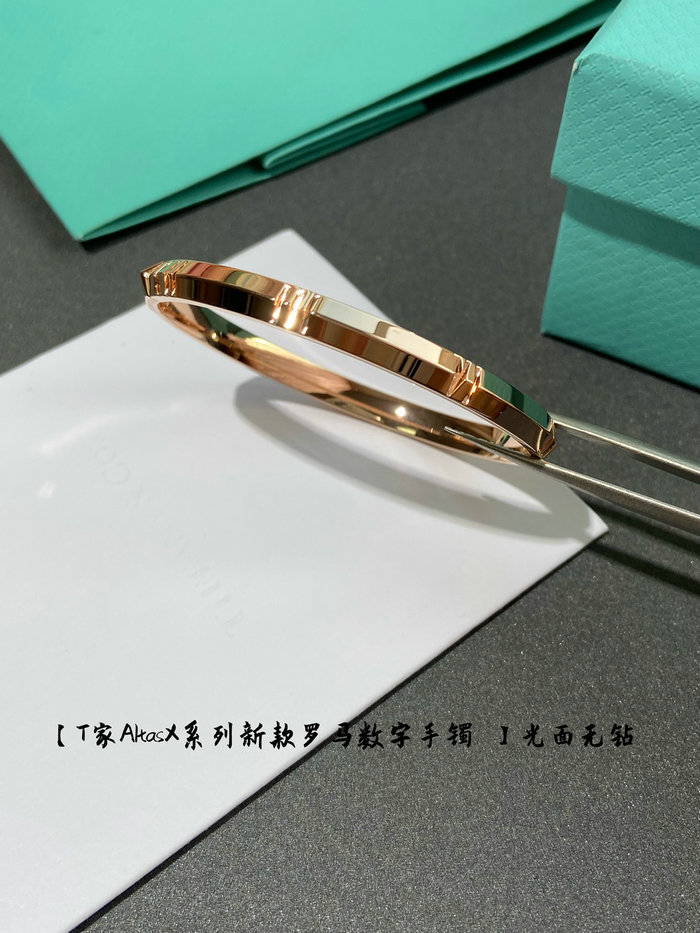 Tiffany Bracelet TB02