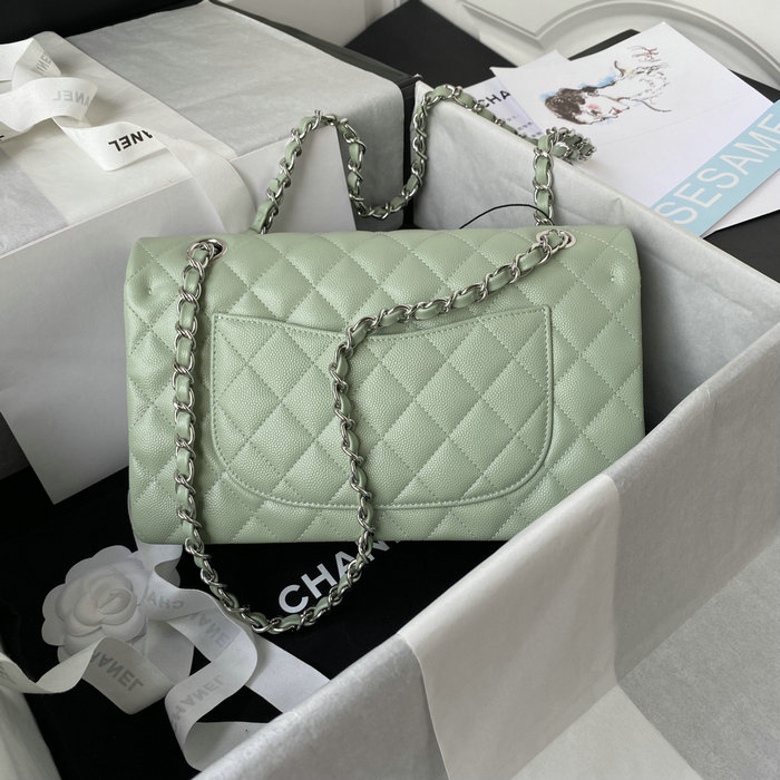 Classic Chanel Medium Flap Bag Green with Silver CF1112