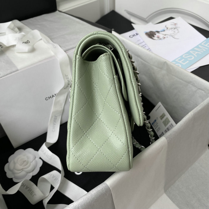 Classic Chanel Medium Flap Bag Green with Silver CF1112