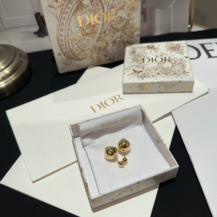 Dior Earrings DE02