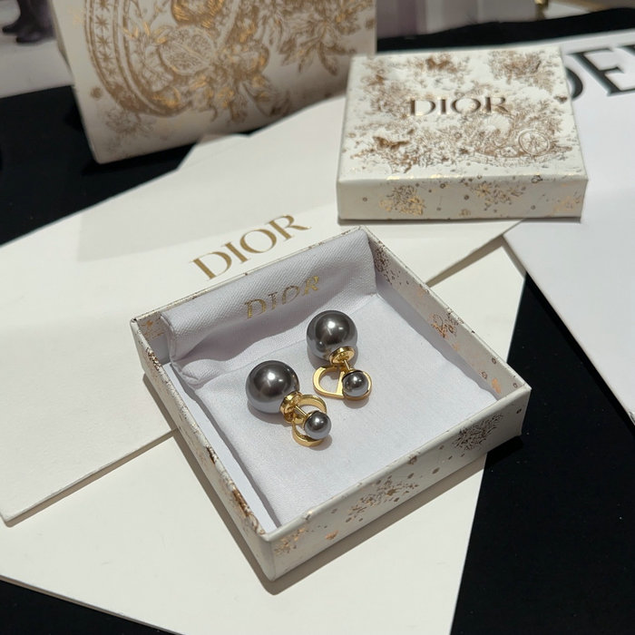 Dior Earrings DE03