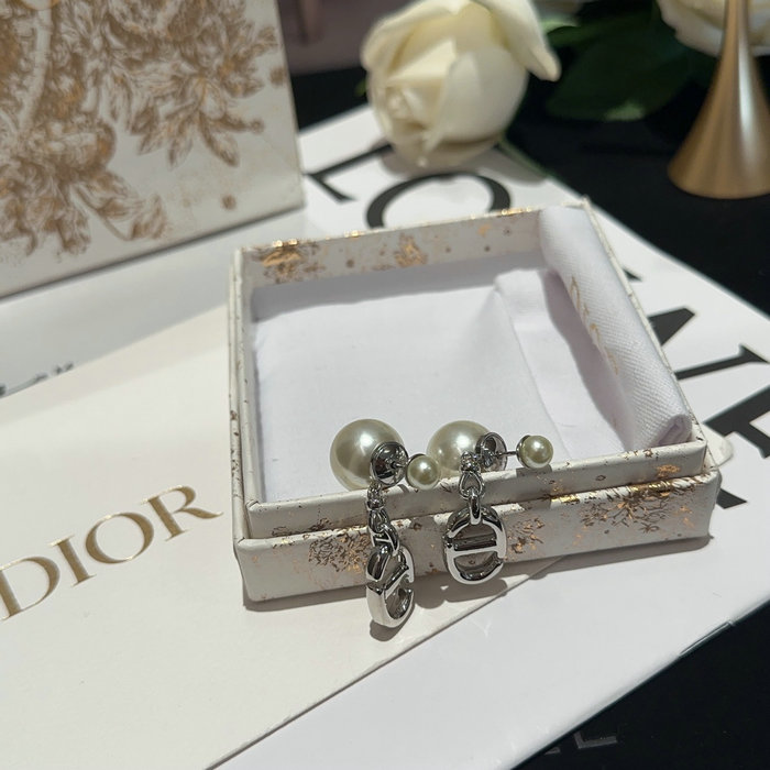 Dior Earrings DE05