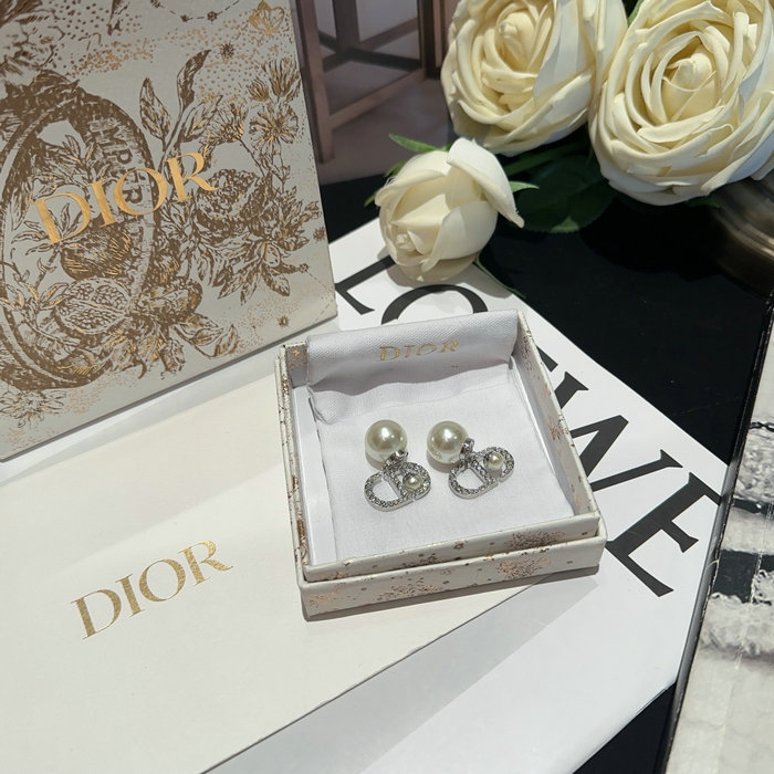 Dior Earrings DE06