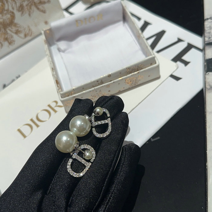 Dior Earrings DE06