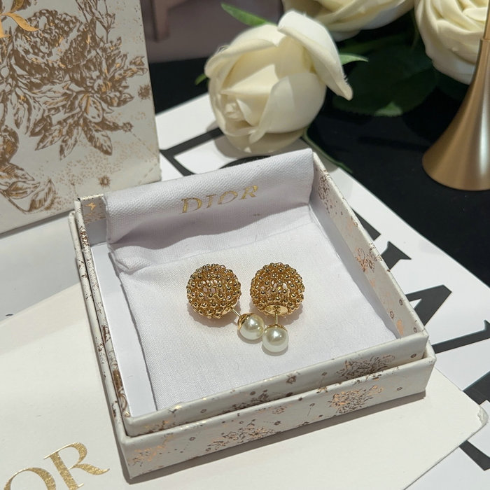 Dior Earrings DE07