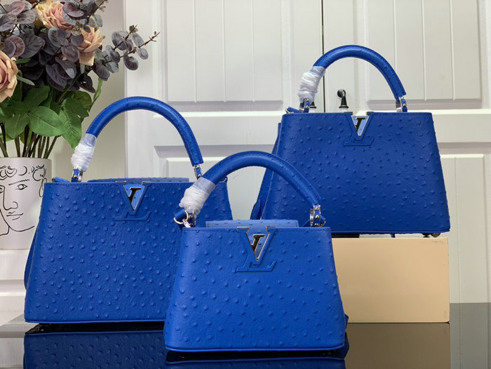 Louis Vuitton Embossed Ostrich Capucines Blue N93419