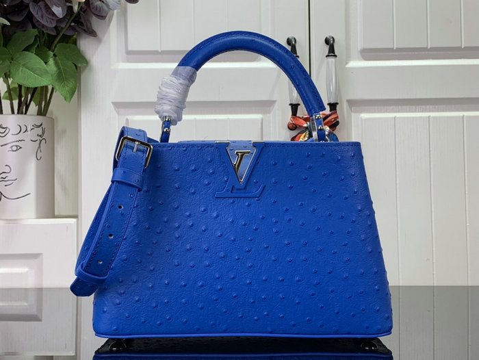 Louis Vuitton Embossed Ostrich Capucines Blue N93419