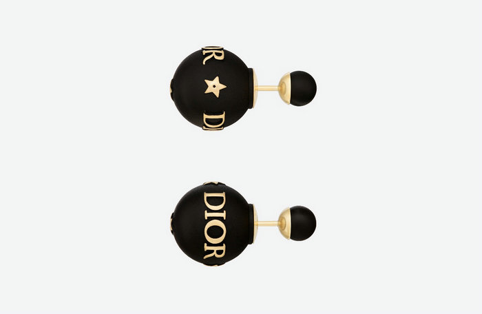 Dior Earrings DE10