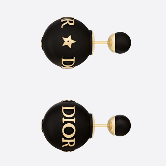 Dior Earrings DE10