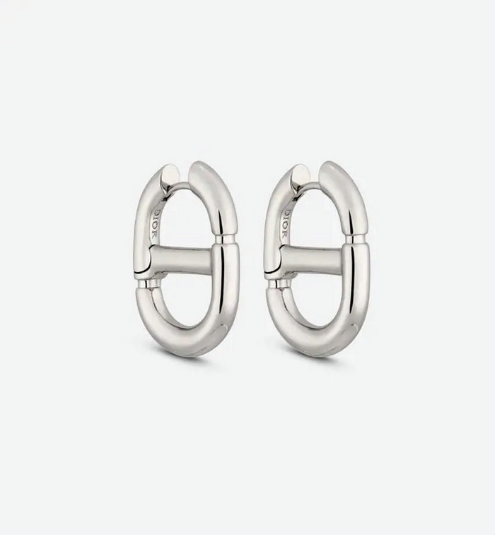 Dior Earrings DE12