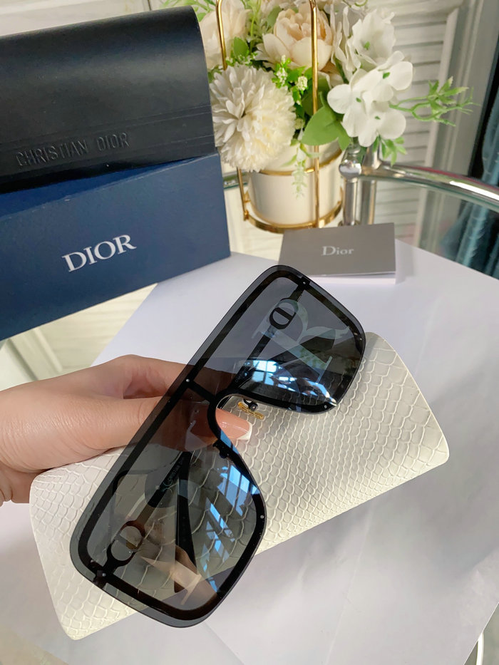 Dior Sunglasses SM95