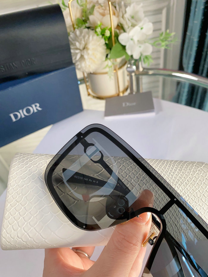 Dior Sunglasses SM95