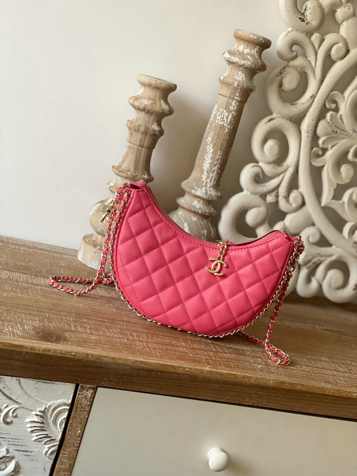 Chanel Small Hobo Bag Pink AS3917