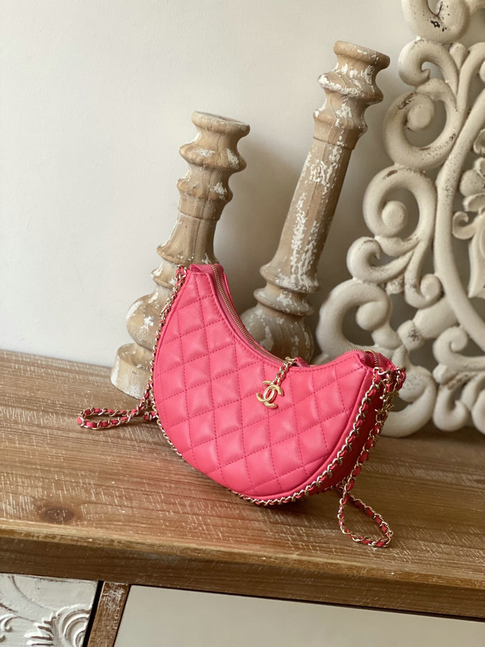 Chanel Small Hobo Bag Pink AS3917