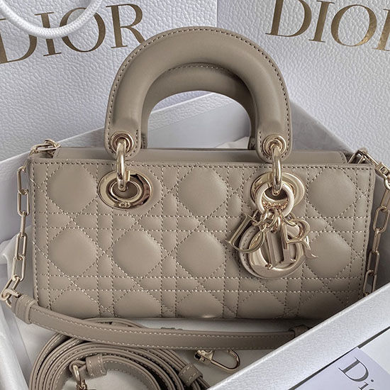 Small LADY D-JOY BAG Grey D3380