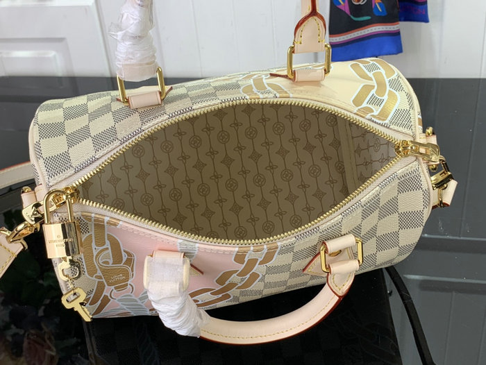 Louis Vuitton Speedy Bandouliere 25 N40473