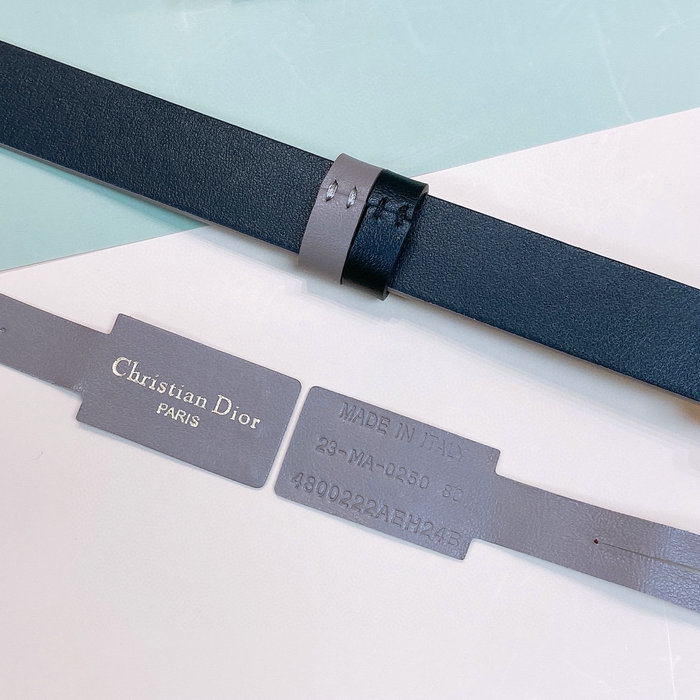 Dior 20mm Belt DB04173