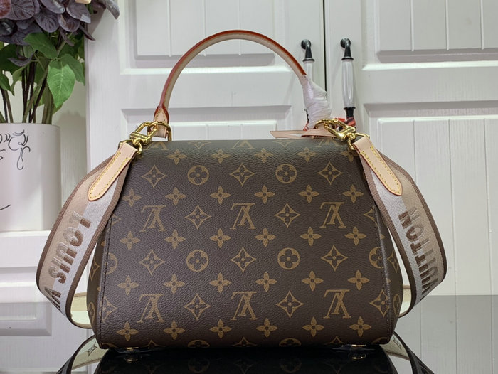 Louis Vuitton Cluny BB M42735