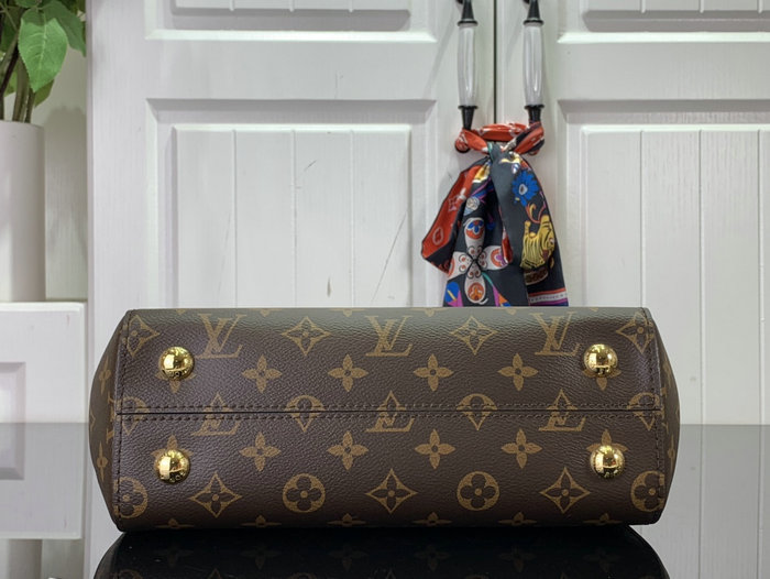 Louis Vuitton Cluny BB M42735