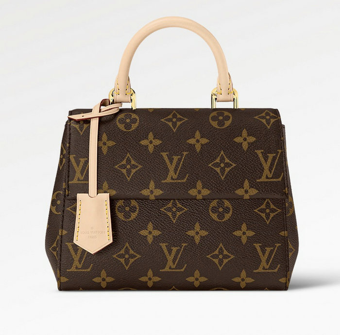 Louis Vuitton Cluny Mini M46055