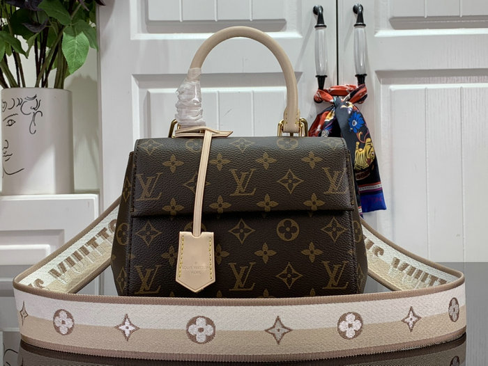 Louis Vuitton Cluny Mini M46055