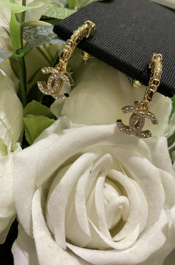 Chanel Earrings CE05051