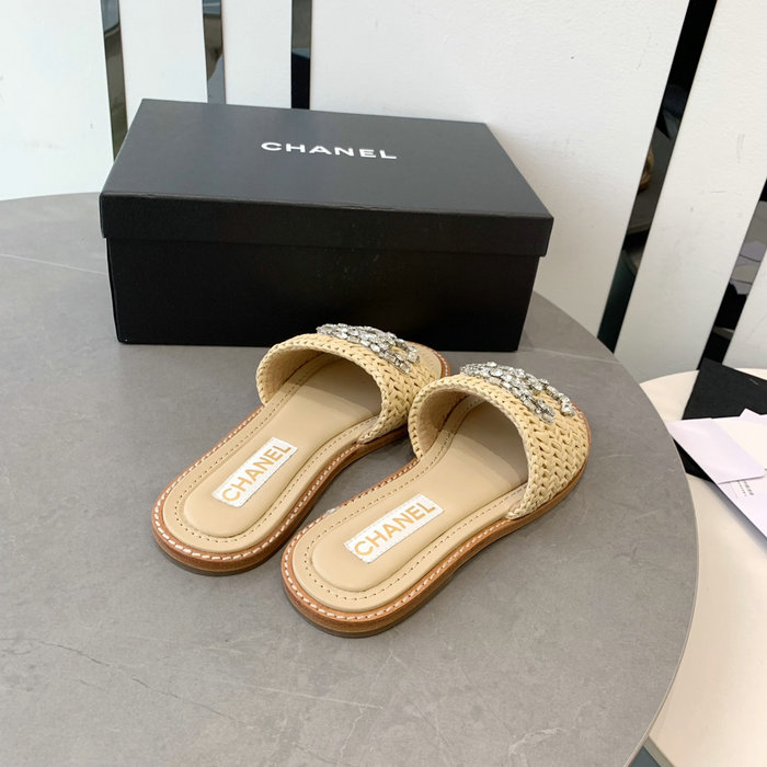 Chanel Slides SDC043003