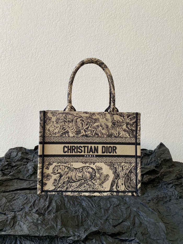 Small Dior Book Tote M1287D01