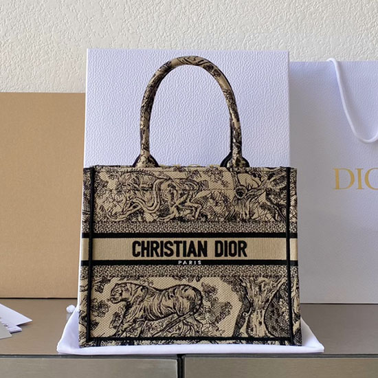 Small Dior Book Tote M1287D01