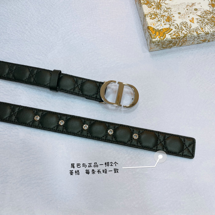 Dior Belt DB061401